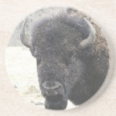 Buffalo Zandsteen Onderzetter (Voorkant)