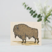 buffel briefkaart (Staand voorkant)