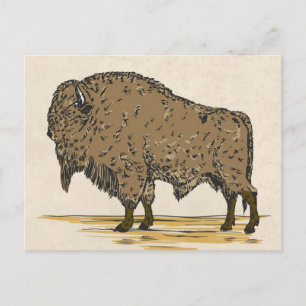 buffel briefkaart