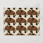 Buffel cartoon briefkaart (Voorkant)