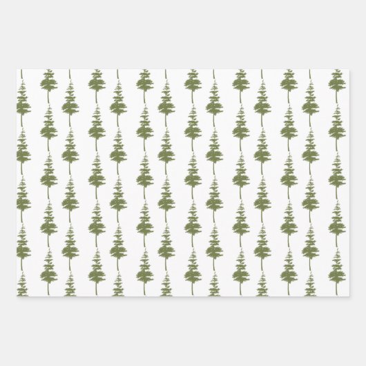 Buffel Check Bull Moose Inpakpapier Vel (Voorkant 3)