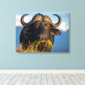 buffel die gras eet canvas afdruk (Insitu (Houten vloer))