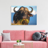 buffel die gras eet canvas afdruk (Insitu (Woonkamer))