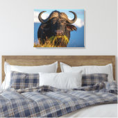buffel die gras eet canvas afdruk (Insitu (Slaapkamer))