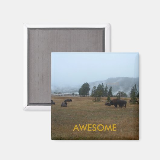 Buffel Geweldige magneet (Voorkant / Achterkant)