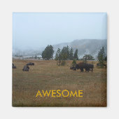 Buffel Geweldige magneet (Voorkant)