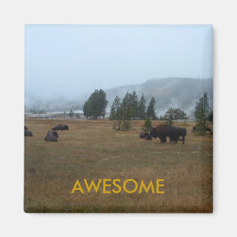 Buffel Geweldige magneet