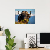 buffel gras etend poster (Thuiskantoor)