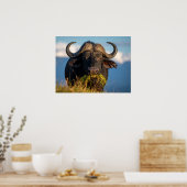 buffel gras etend poster (Keuken)
