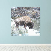 Buffel in Sneeuw Storm Wrapped Canvas Print (Insitu (Houten vloer))