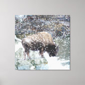 Buffel in Sneeuw Storm Wrapped Canvas Print (Voorkant)