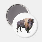 buffel magneet (Voorkant / Achterkant)