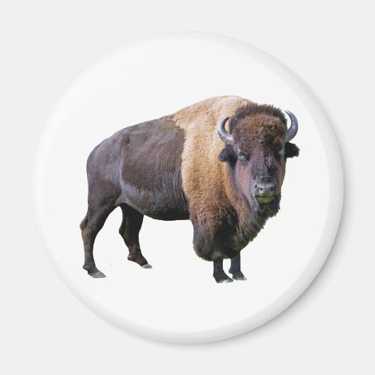 buffel magneet (Voorkant)