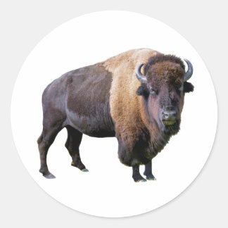 buffel ronde sticker
