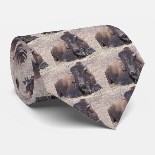 buffel, stropdas (Opgerold)