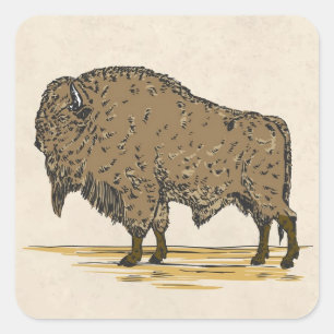 buffel vierkante sticker