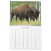 Buffelagenda 2012 kalender (Mar 2027)