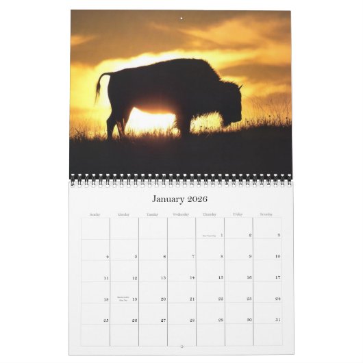 Buffelagenda 2012 kalender (Jan 2026)