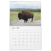 Buffelagenda 2013 kalender (Mar 2027)