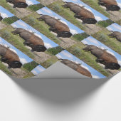 Buffelblad op zonnig verpakkingspapier cadeaupapier (Hoek)