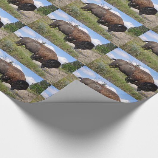 Buffelblad op zonnig verpakkingspapier cadeaupapier (Hoek)