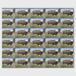 Buffelblad op zonnig verpakkingspapier cadeaupapier