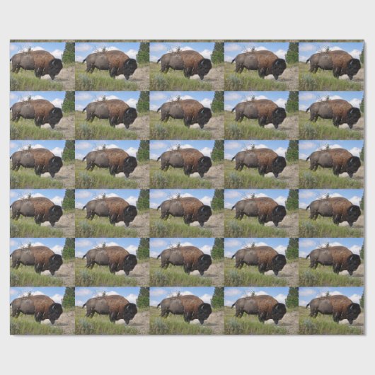 Buffelblad op zonnig verpakkingspapier cadeaupapier (Vlak)