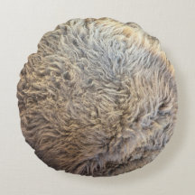 Buffelbont foto bruin haar