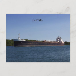 Buffelbriefkaart Briefkaart