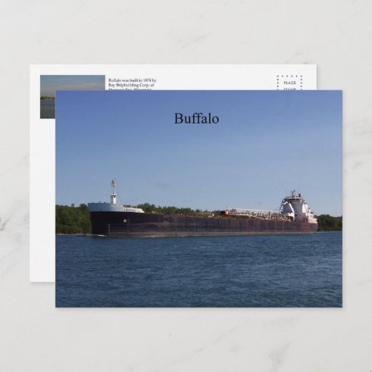 Buffelbriefkaart Briefkaart (Voorkant / Achterkant)