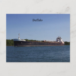 Buffelbriefkaart Briefkaart