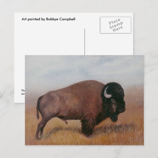 BuffelBriefkaart Briefkaart (Voorkant / Achterkant)