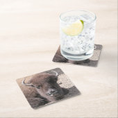 Buffelfotopapier Onderzetter (Insitu)