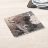 Buffelfotopapier Onderzetter (Schuin)