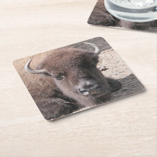 Buffelfotopapier Onderzetter (Schuin)