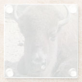 Buffelfotovierkant Onderzetter van glas (Achterkant)