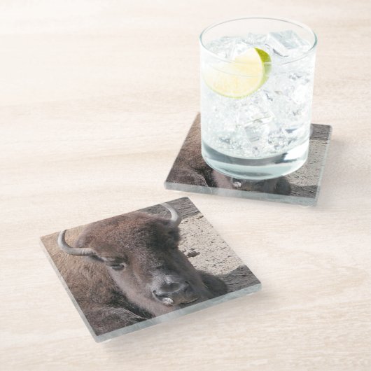 Buffelfotovierkant Onderzetter van glas Glazen Onderzetter (Schuin)