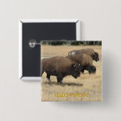 Buffelgeelsteen Button (Voorkant /achterkant)