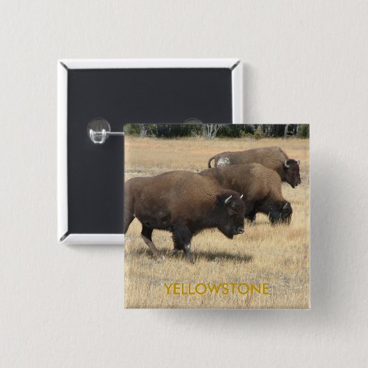 Buffelgeelsteen Button (Voorkant /achterkant)