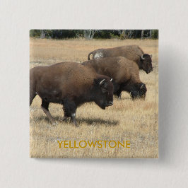 Buffelgeelsteen Button