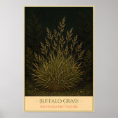 Buffelgras Poster (Voorkant)
