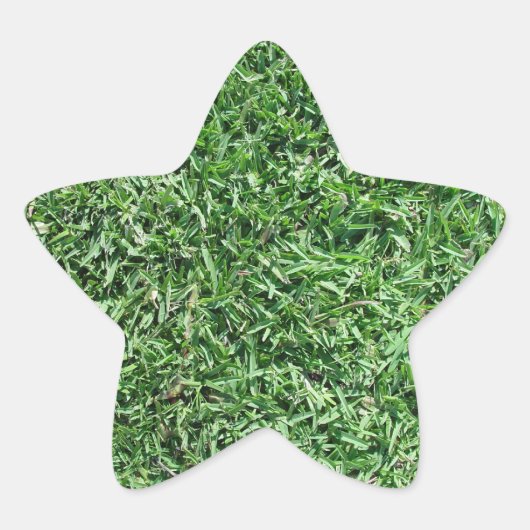 Buffelgras Ster Sticker (Voorkant)