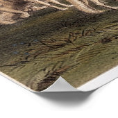 Buffeljacht, witte wolven die een buffel aanvallen poster (Hoek)