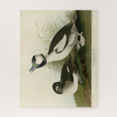 Buffelkop Duck van Audubon's Birds of America Legpuzzel (Verticaal)