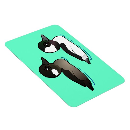 buffelkoppaar magneet (Rechterzijde)