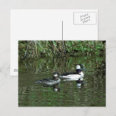 Buffelkoppen - Deenden Briefkaart (Voorkant / Achterkant)