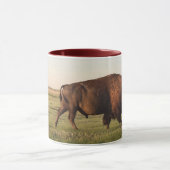 BuffelMok Mok (Midden)