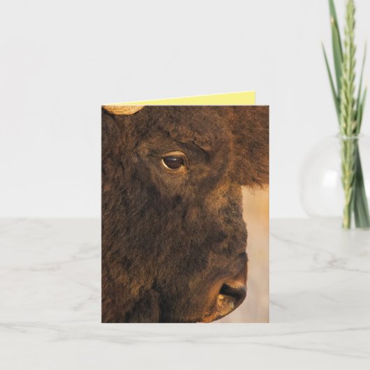 Buffelprofiel Kaart (Voorkant)