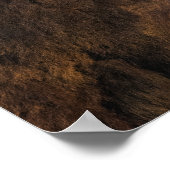 Buffelprofiel Poster (Hoek)