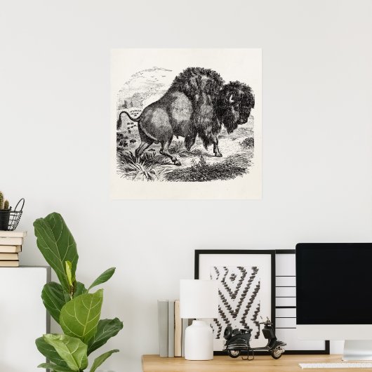 buffelretrospectie van het biondier poster (Thuiskantoor)